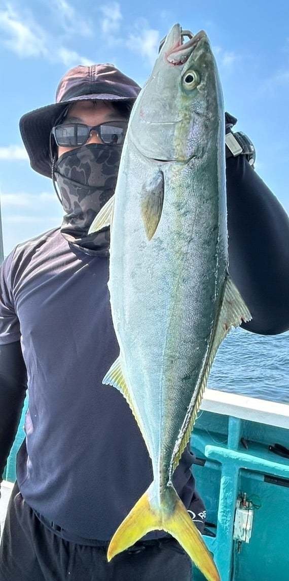 サンパク(ブリ)