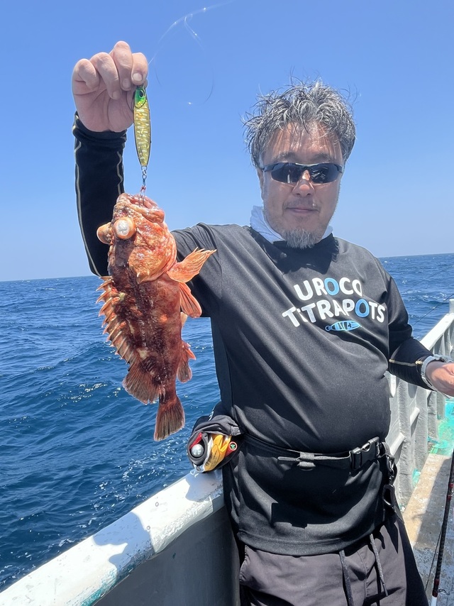 ウッカリカサゴ