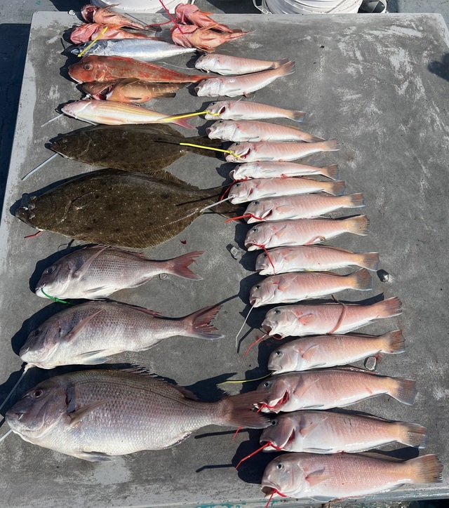 マダイ・アコウ(キジハタ)・シロアマダイ・ヒラメ