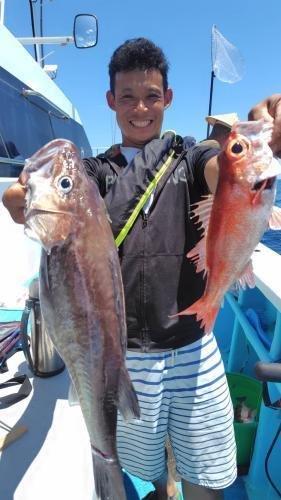 アラ・アカムツ