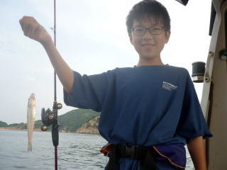 キス(シロギス)