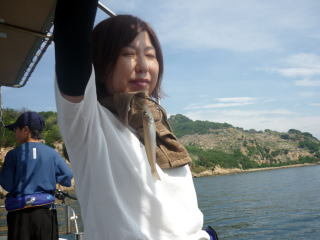 キス(シロギス)