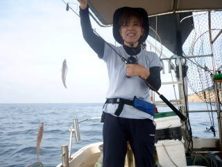 キス(シロギス)