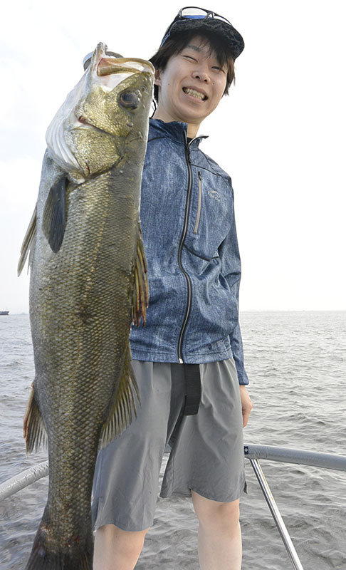 シーバス(スズキ)