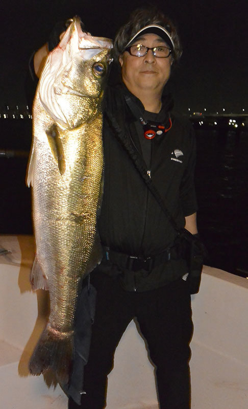 シーバス(スズキ)