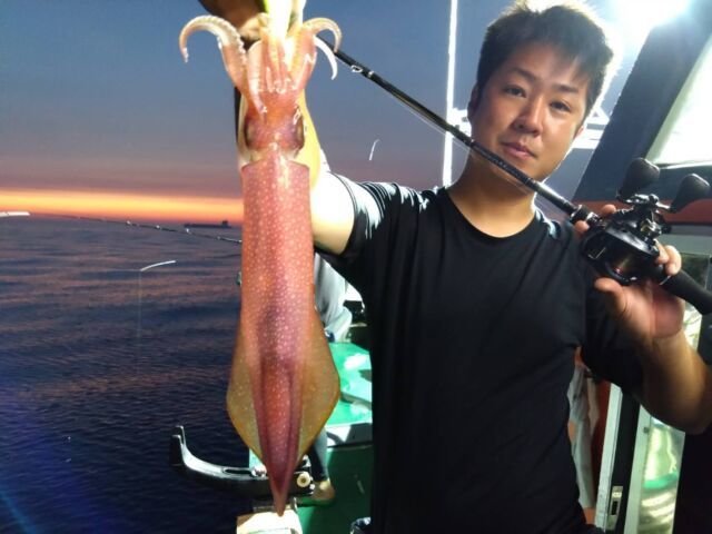 イカ(ヤリイカ)