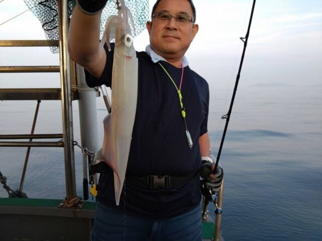 イカ(ヤリイカ)