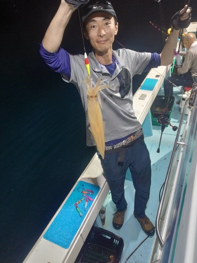 イカ(ヤリイカ)