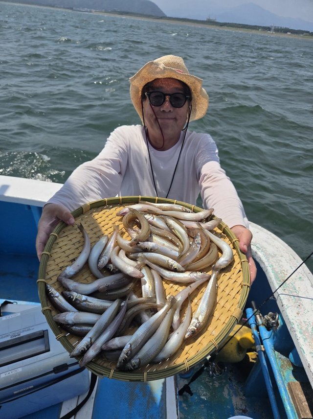 シロキス(シロギス)