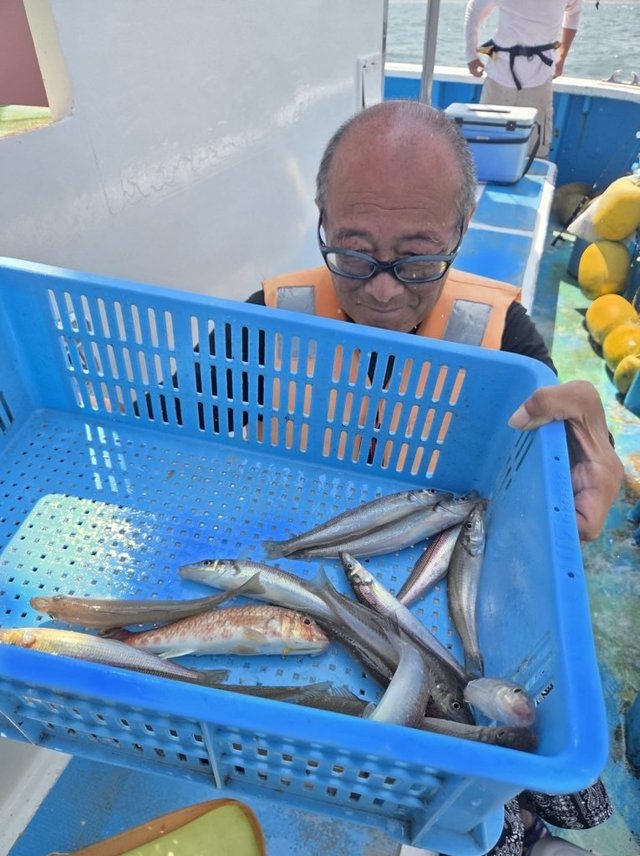 シロキス(シロギス)