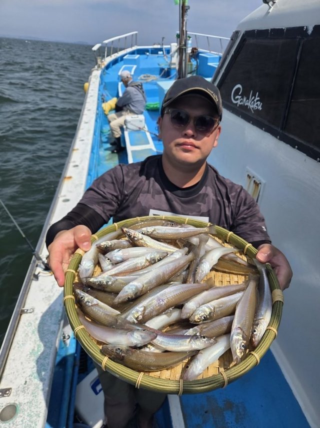 シロキス(シロギス)