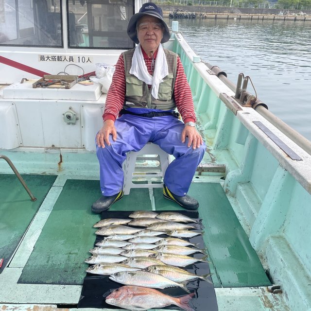 マダイ・マアジ・イサキ・マサバ