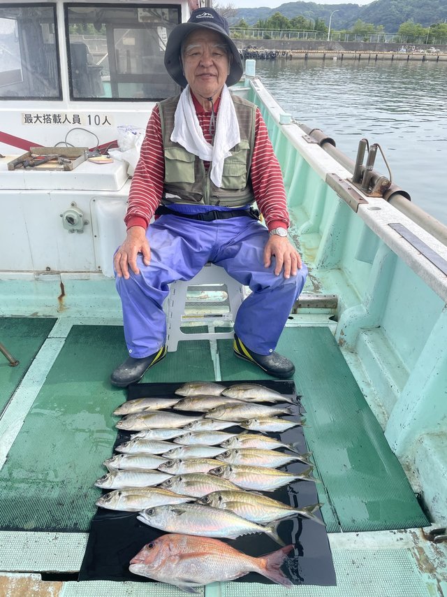 マダイ・マアジ・イサキ・マサバ