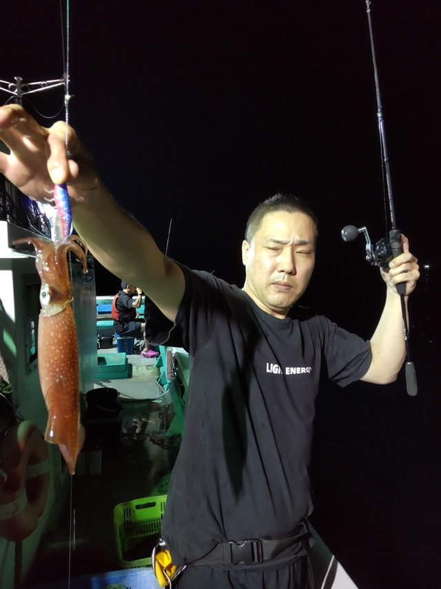 シロイカ(ケンサキイカ)