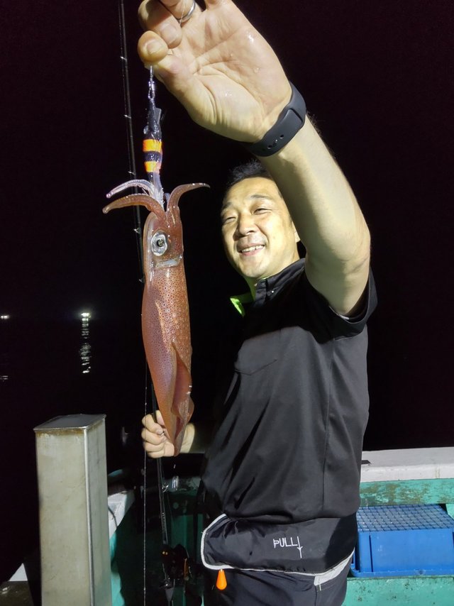 シロイカ(ケンサキイカ)