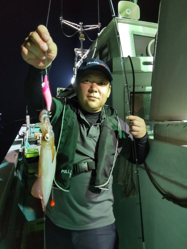 シロイカ(ケンサキイカ)