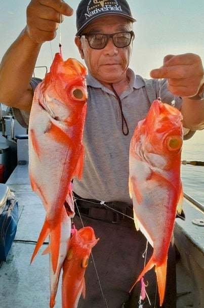 キンメ(キンメダイ)