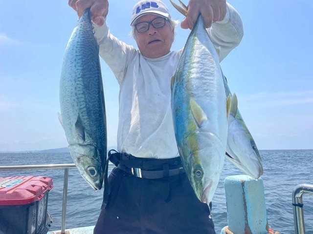 ハマチ(ブリ)・マサバ