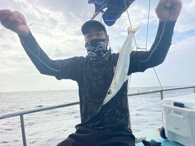 カマス(アカカマス)