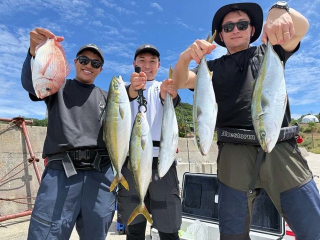 マダイ・ハマチ(ブリ)