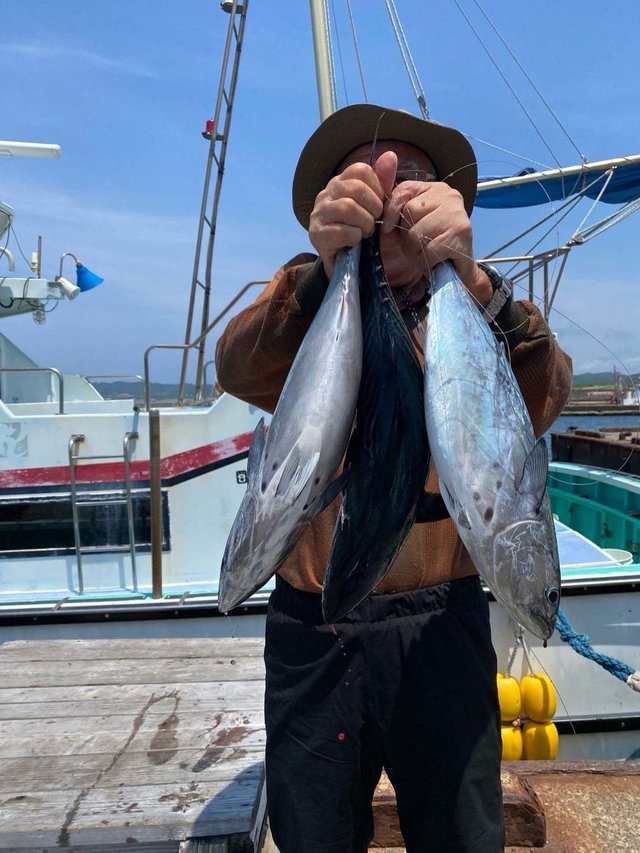 スマガツオ(スマ)