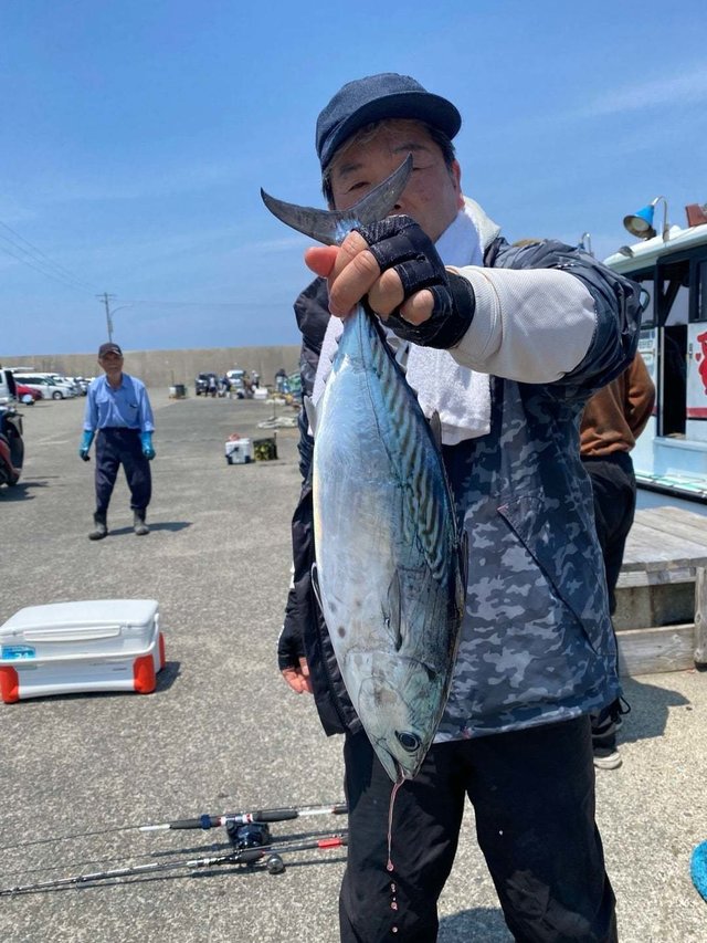 スマガツオ(スマ)