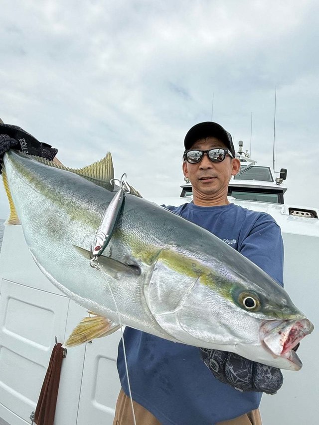 サンパク(ブリ)