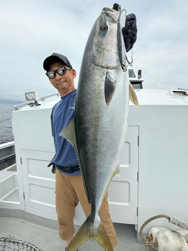 サンパク(ブリ)