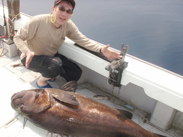 イシナギ(オオクチイシナギ)