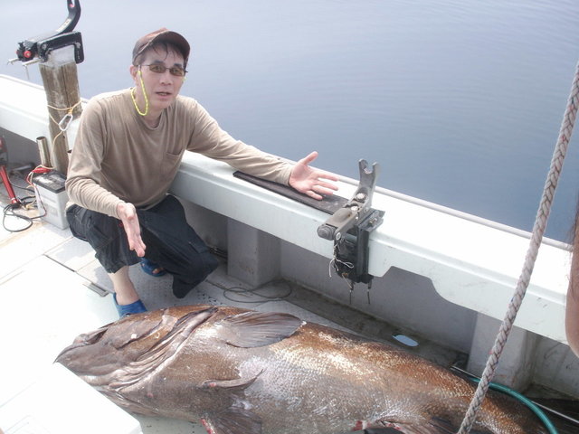 イシナギ(オオクチイシナギ)