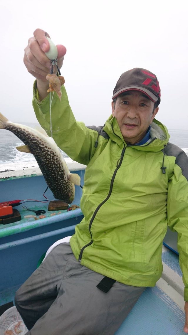 ショウサイフグ