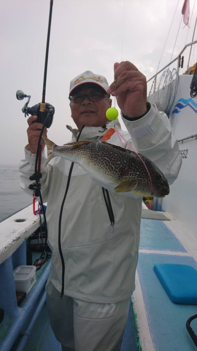 ショウサイフグ