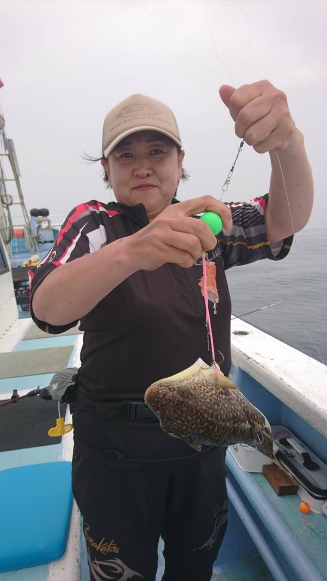 ショウサイフグ