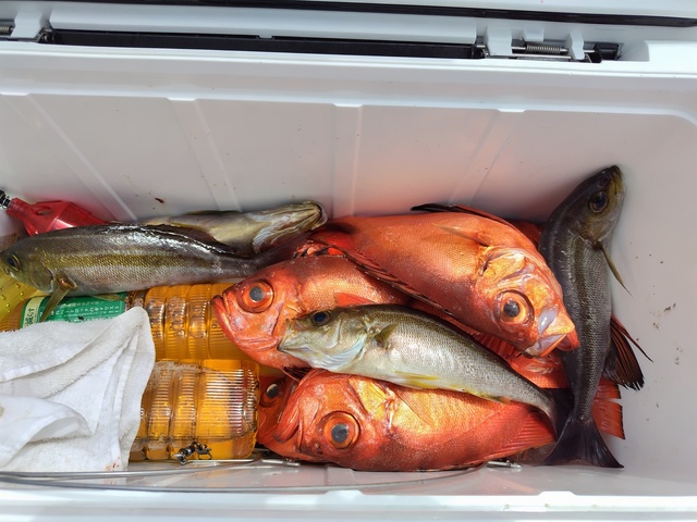 チカメキントキ