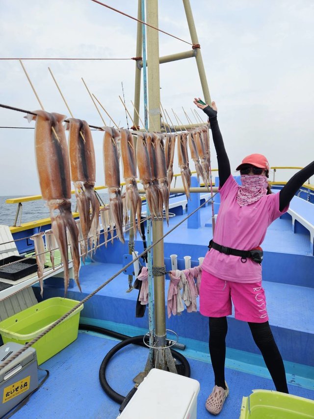 スルメ(スルメイカ)