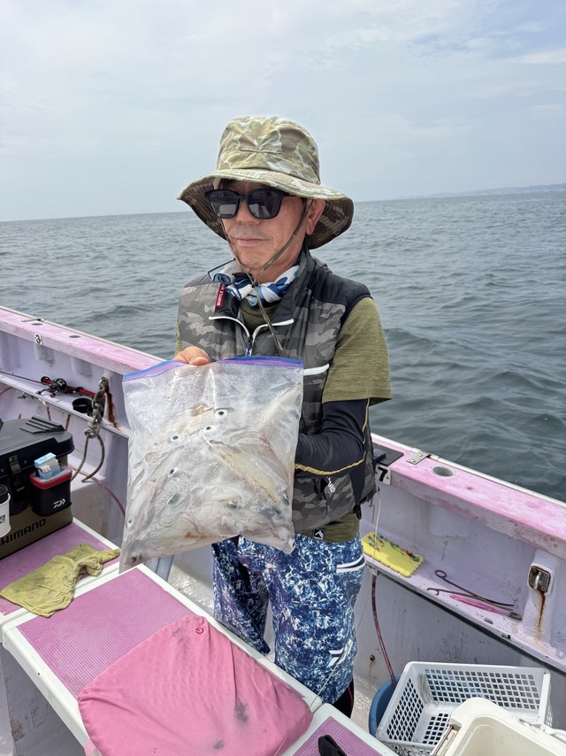 マルイカ(ケンサキイカ)