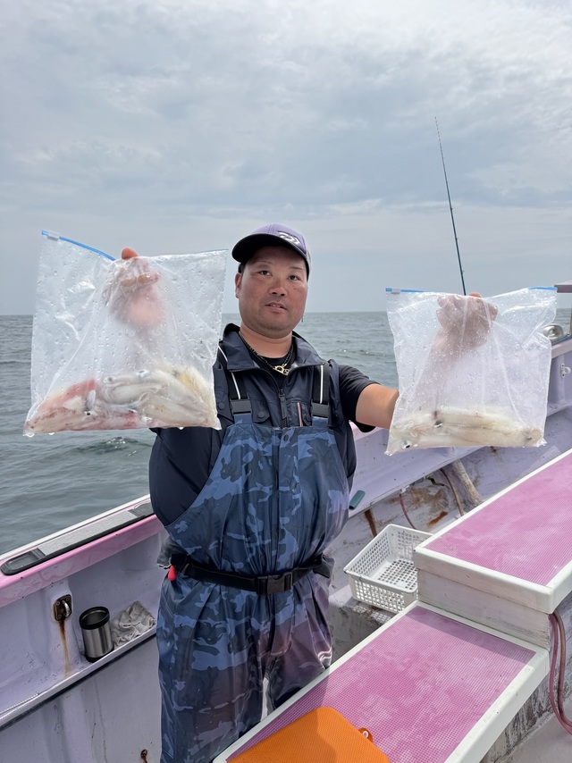 マルイカ(ケンサキイカ)