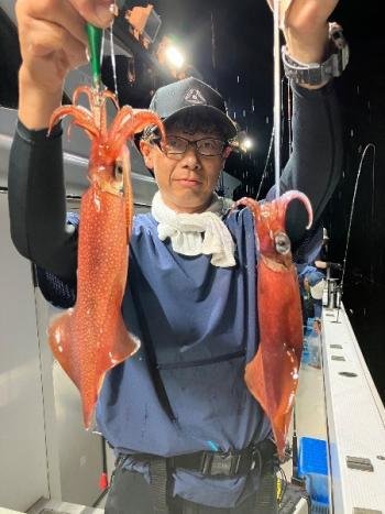 マイカ(ケンサキイカ)