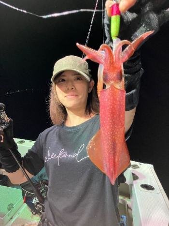 マイカ(ケンサキイカ)