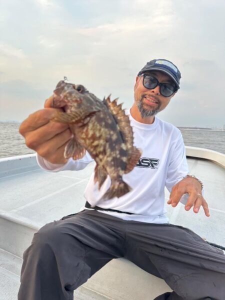 アコウ(キジハタ)