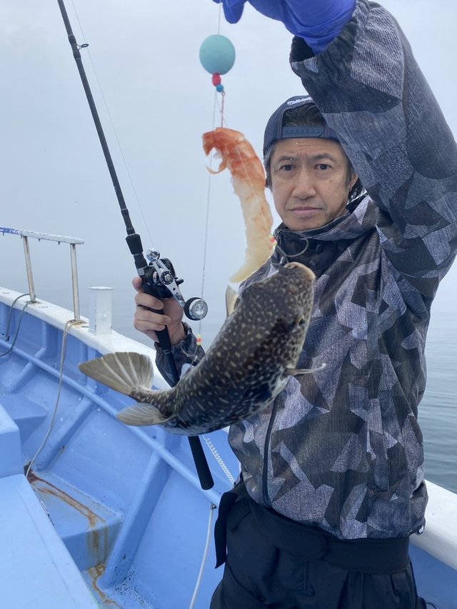 ショウサイフグ