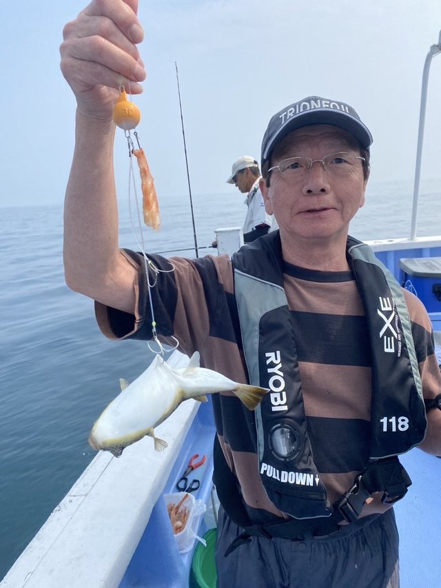 ショウサイフグ