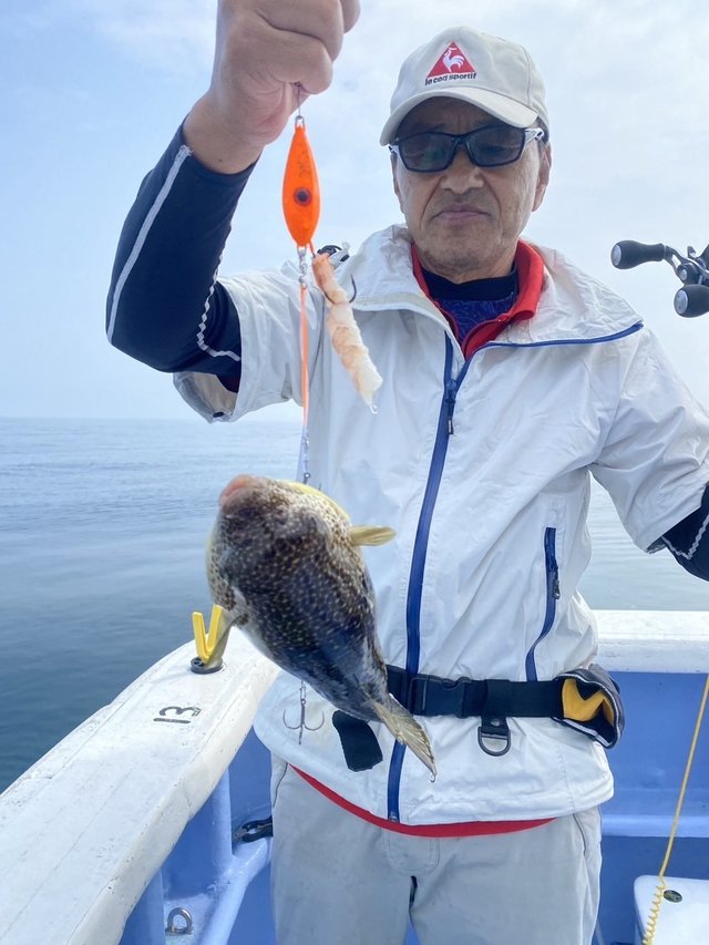 ショウサイフグ