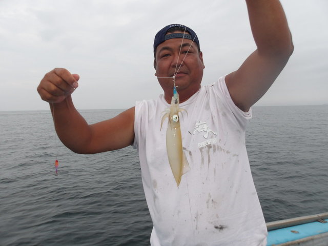 マルイカ(ケンサキイカ)