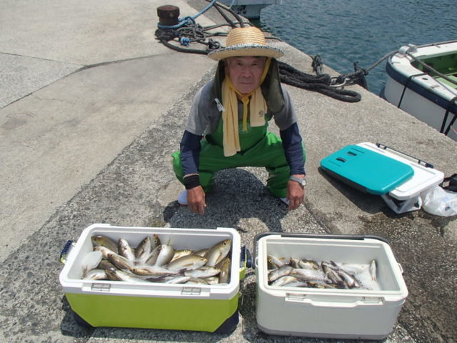 マアジ・イサキ