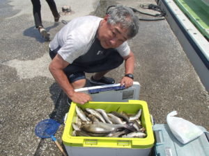 マアジ・イサキ