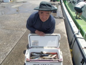 マアジ・イサキ