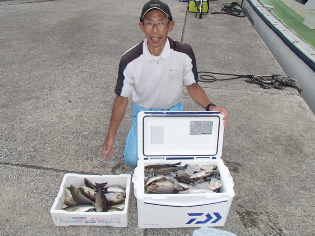 マアジ・イサキ