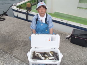 マアジ・イサキ