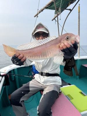 アマダイ(アカアマダイ)